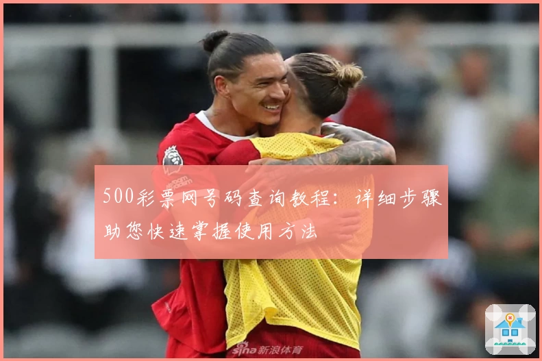 500彩票网号码查询教程：详细步骤助您快速掌握使用方法