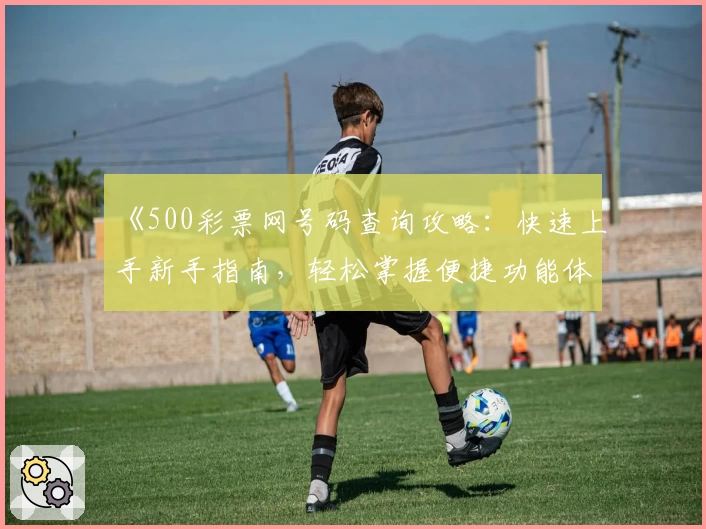 《500彩票网号码查询攻略：快速上手新手指南，轻松掌握便捷功能体验》