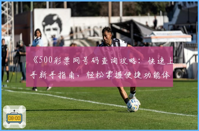 《500彩票网号码查询攻略：快速上手新手指南，轻松掌握便捷功能体验》